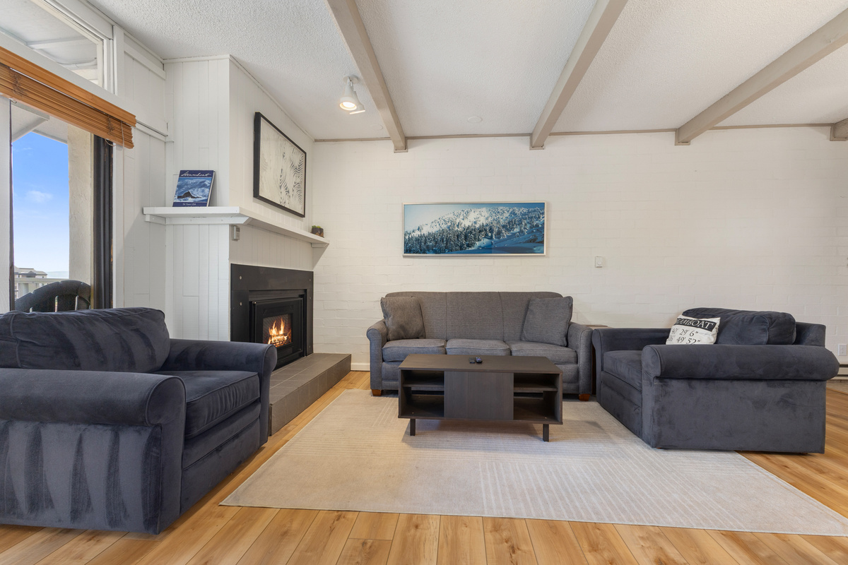Fireplace | Living Room | Pullout Sofa (Queensize)