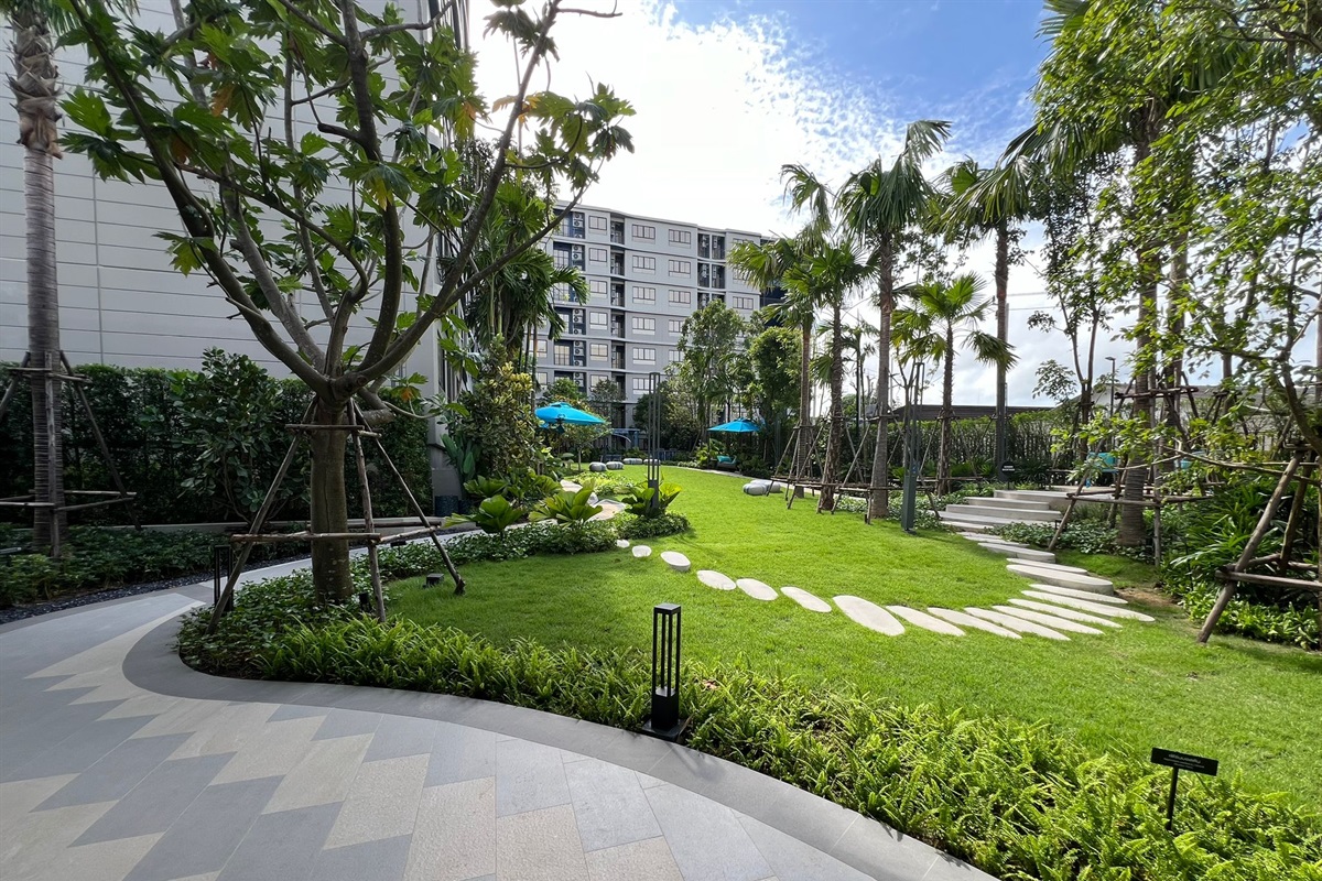 Discover a garden adorned with a diverse array of beautiful plants to make you feel truly at ease. Indulge in the delightful fragrance of flowers and experience the air-purifying benefits of lush greenery beneath the cool shade of rambling trees.