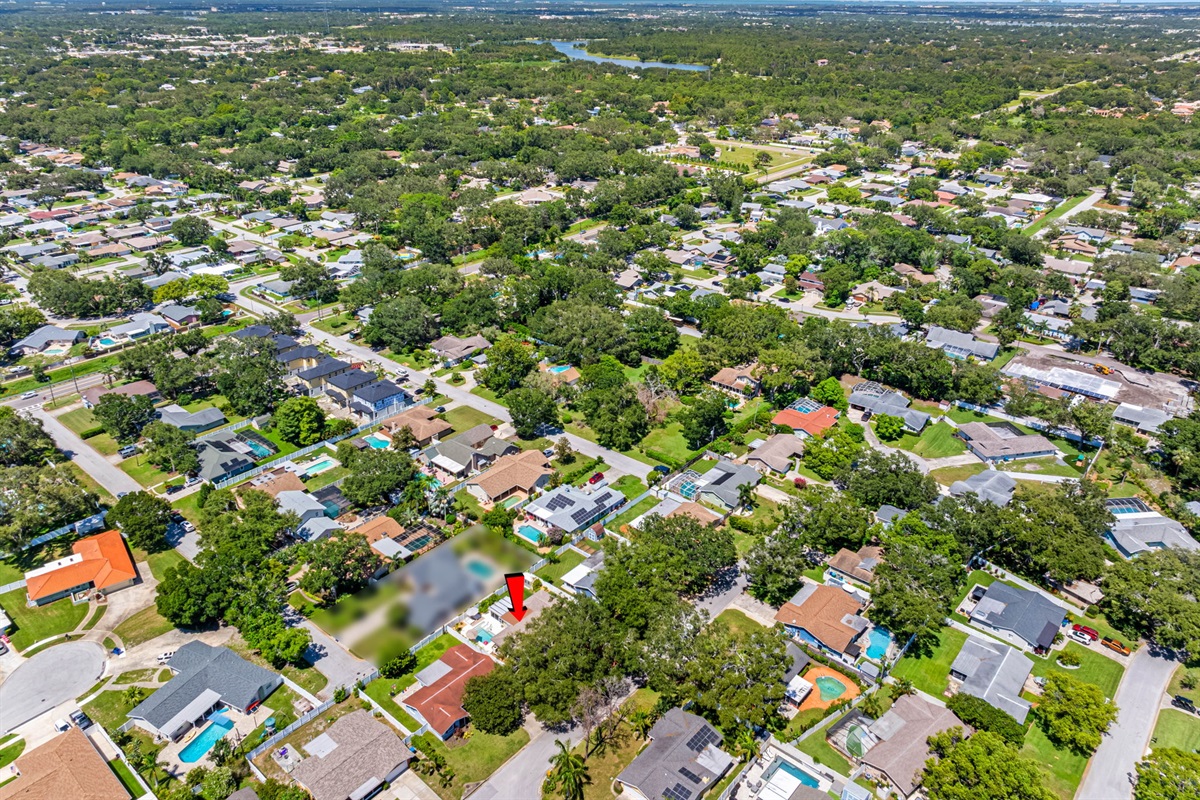 Aerial View of the Neighborhood