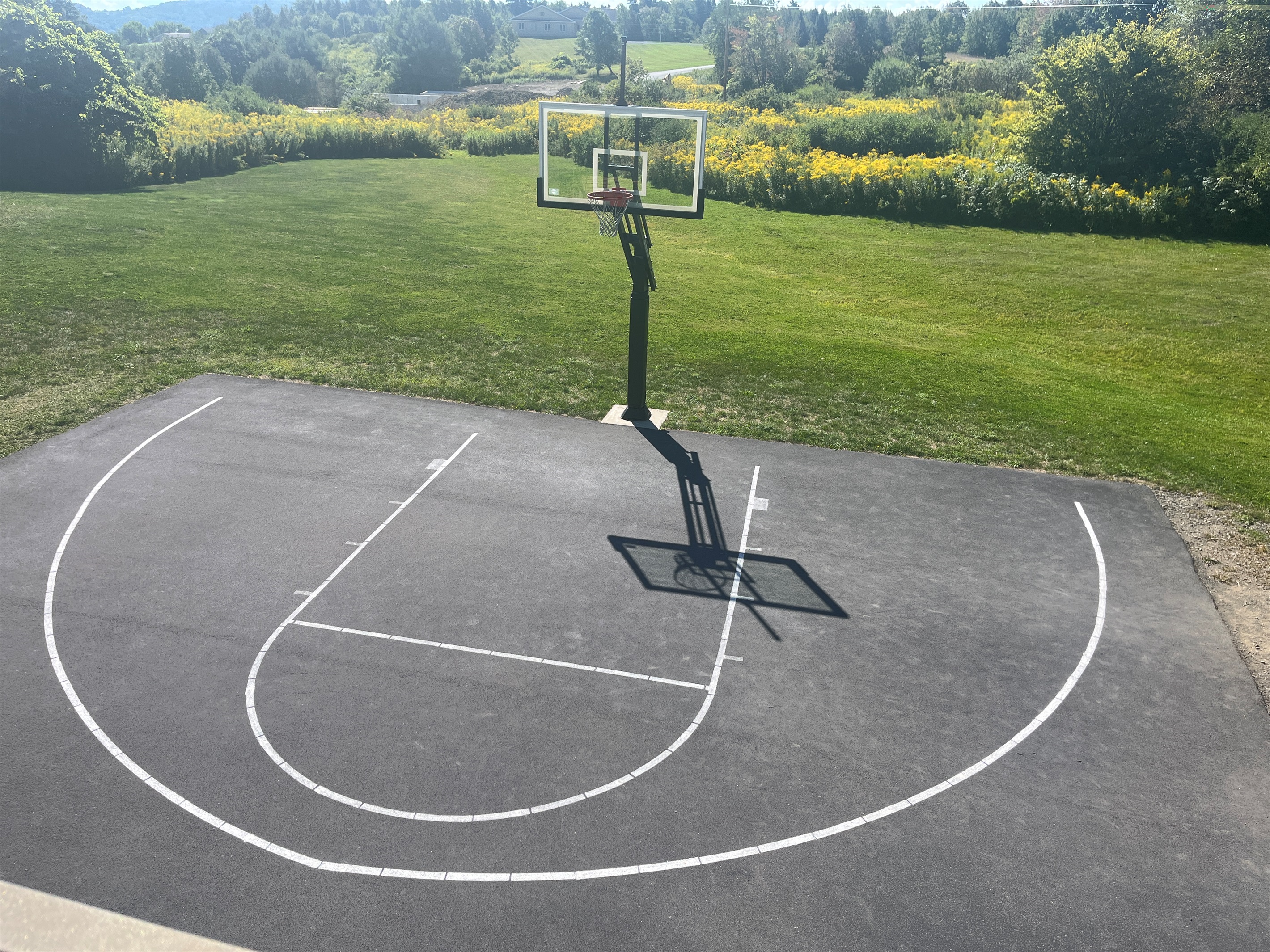 Basketball or pickleball, you choose