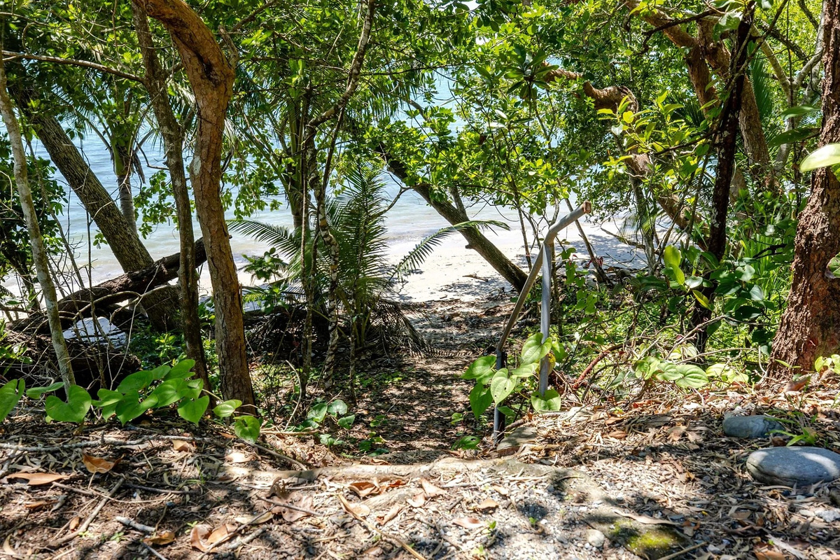 Beach access from Nicos Butterfly Beach House leads through leafy coastal trees to the shoreline below.