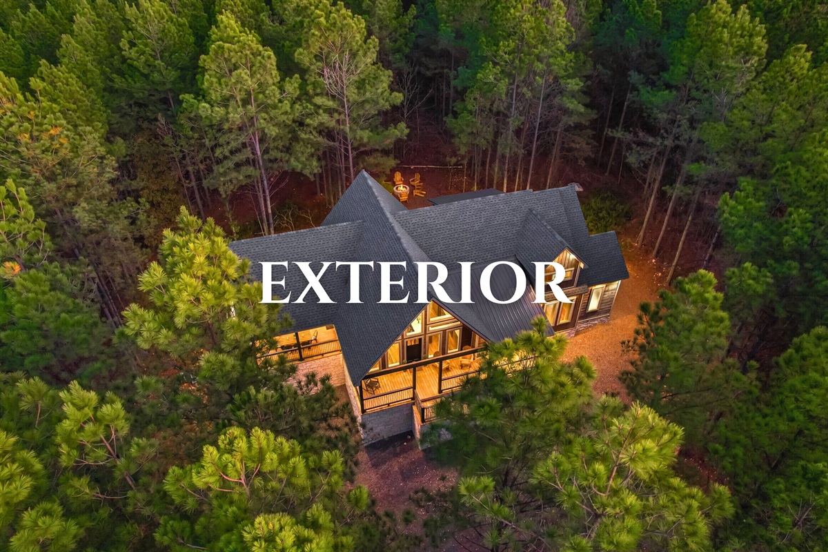 Aerial exterior showing cabin nestled among forest treetops.