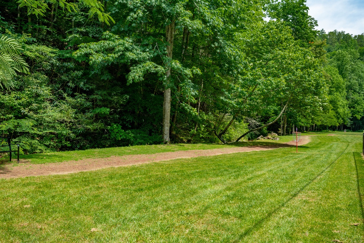 A safe and sunny spot for the little ones to burn off energy