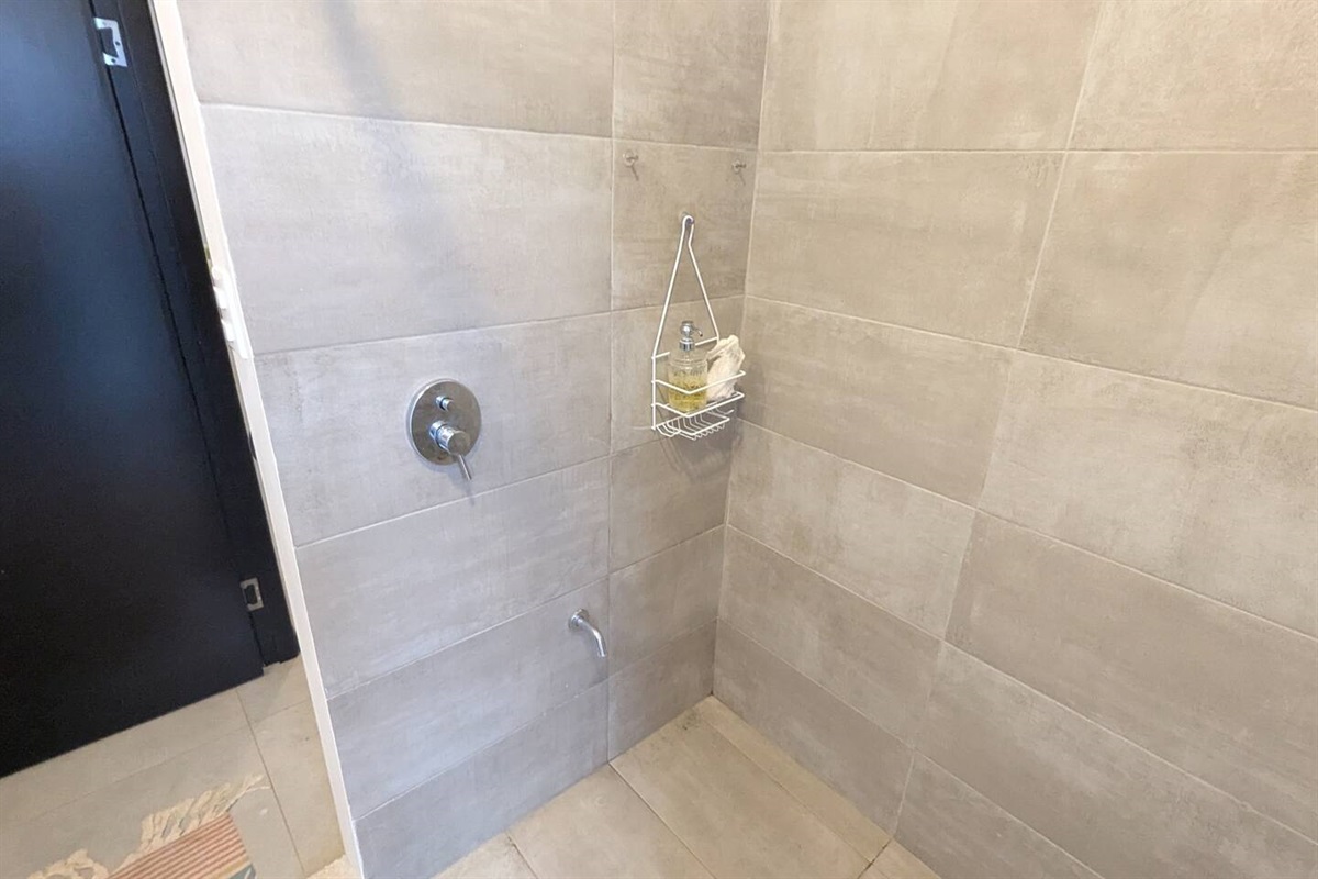 Main bath shower