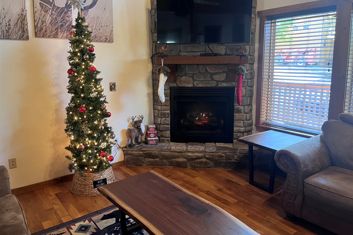 Christmas decor Nov-Jan