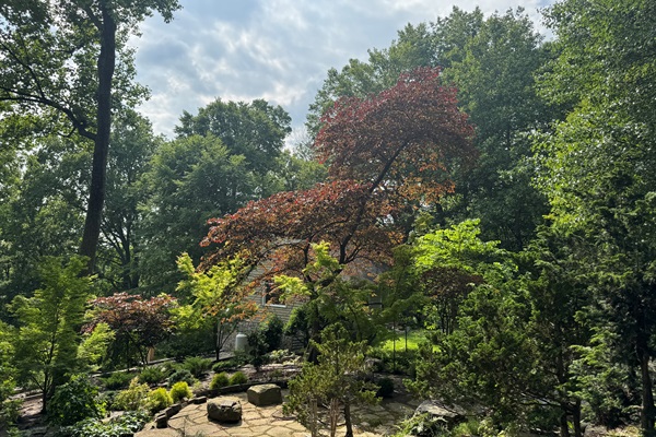 Sky view of Japanese Garden