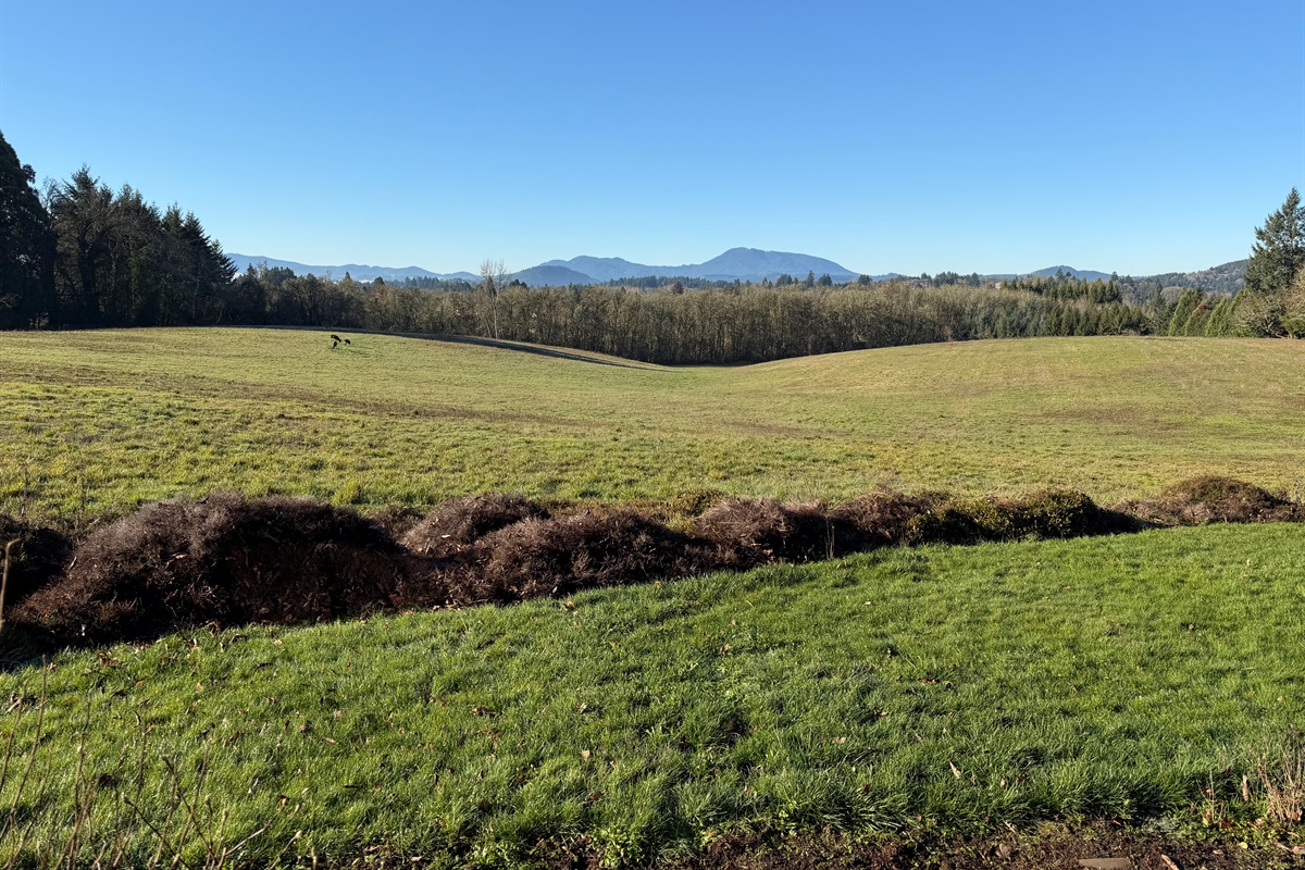 22 acres, of in-city living