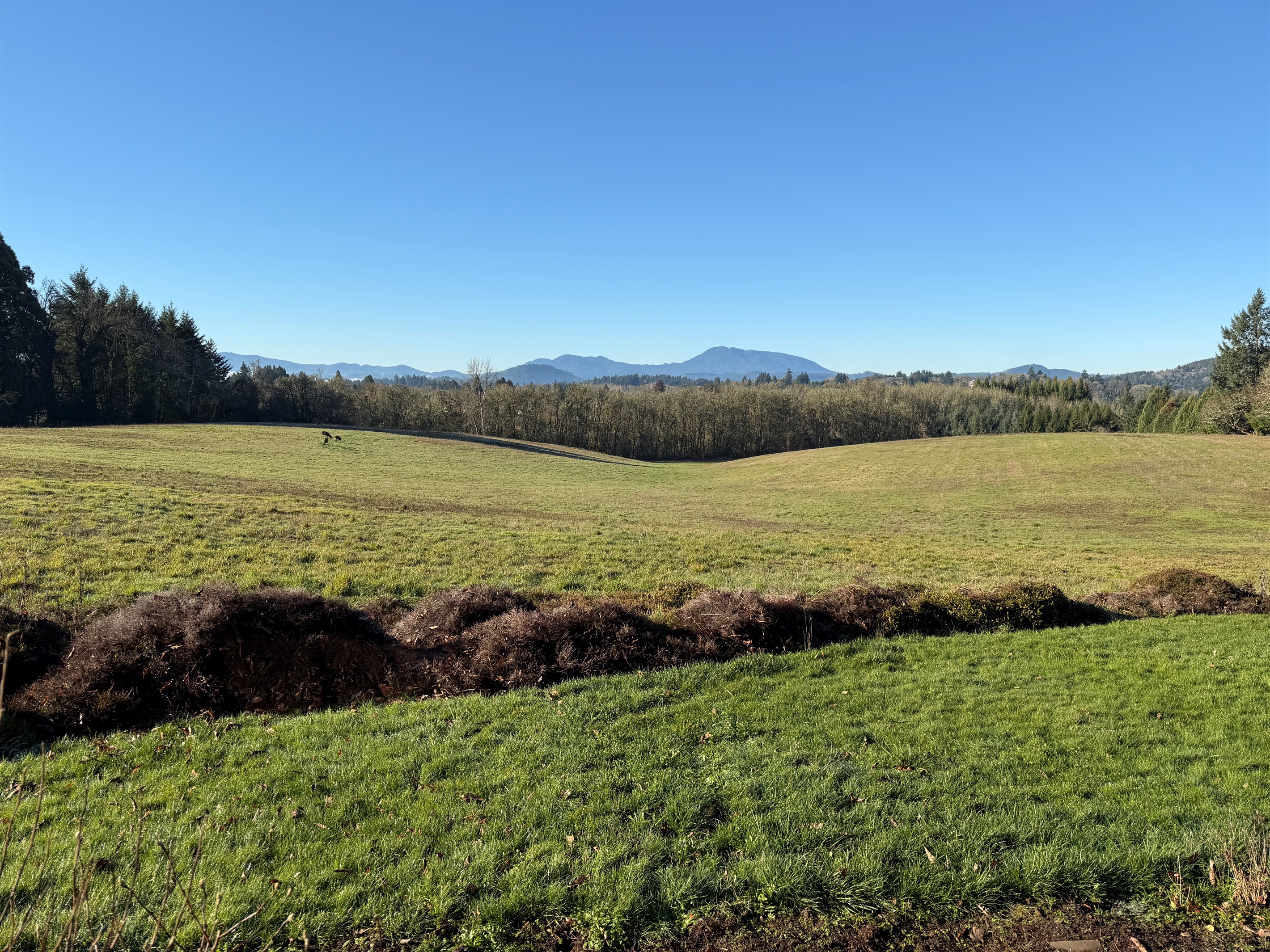 22 acres, of in-city living