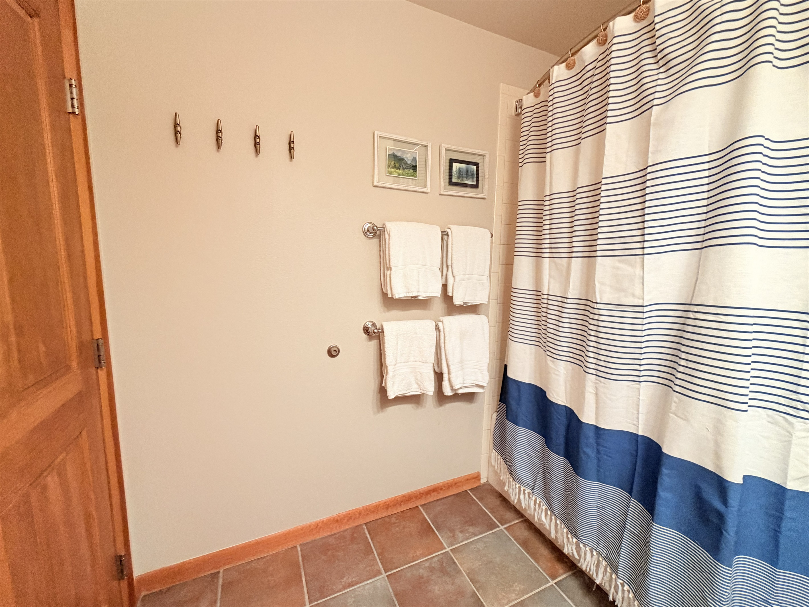Bathroom Hooks and Towels