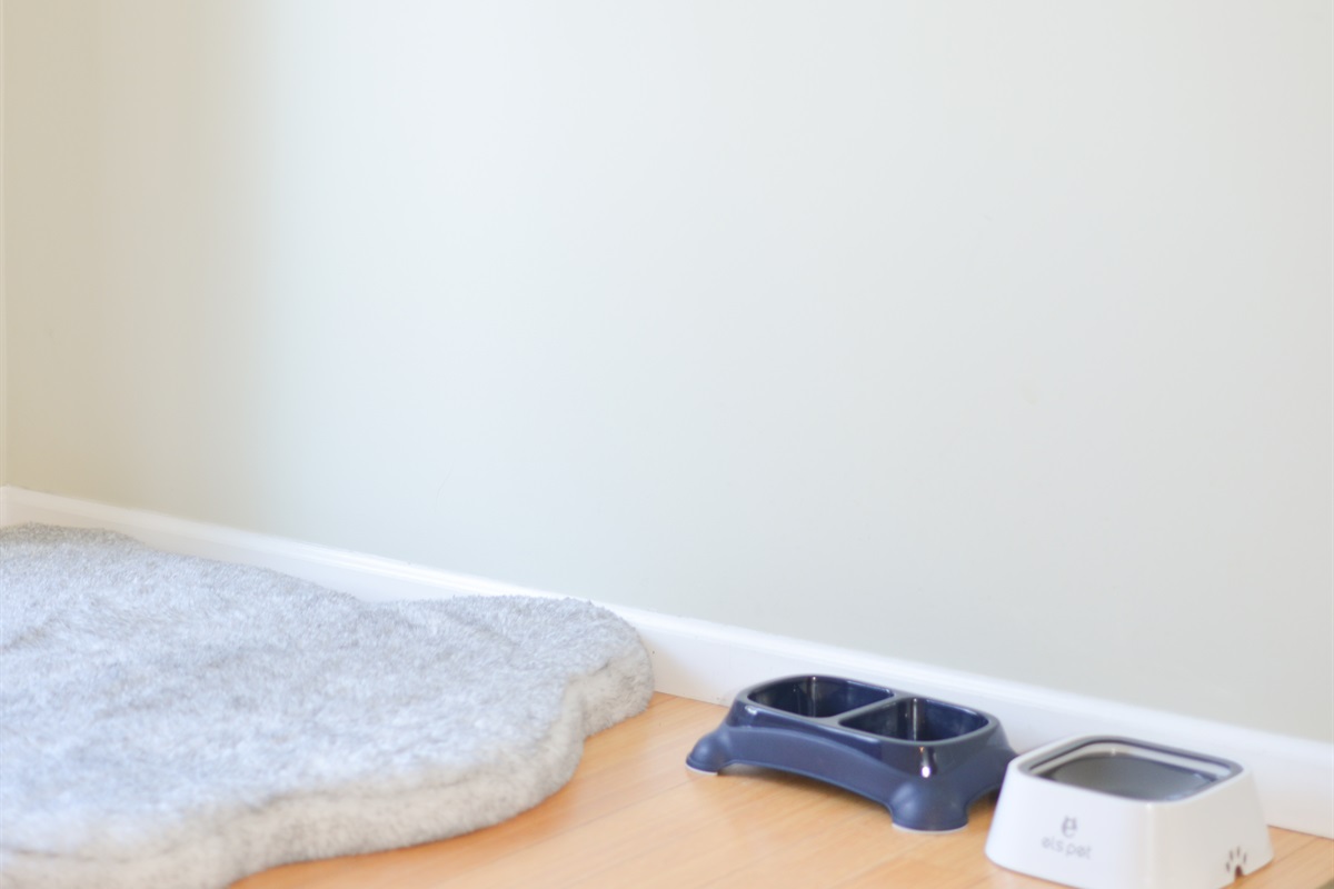 Dog bed, bowls & bags – pet-friendly comfort