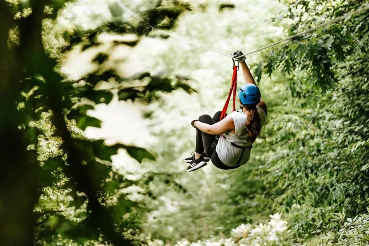 Hawksnest Ziplining is just over a mile away, within our same neighborhood! Location 10/10! Or, come try all of the zipline outfitters nearby and find your new favorite!