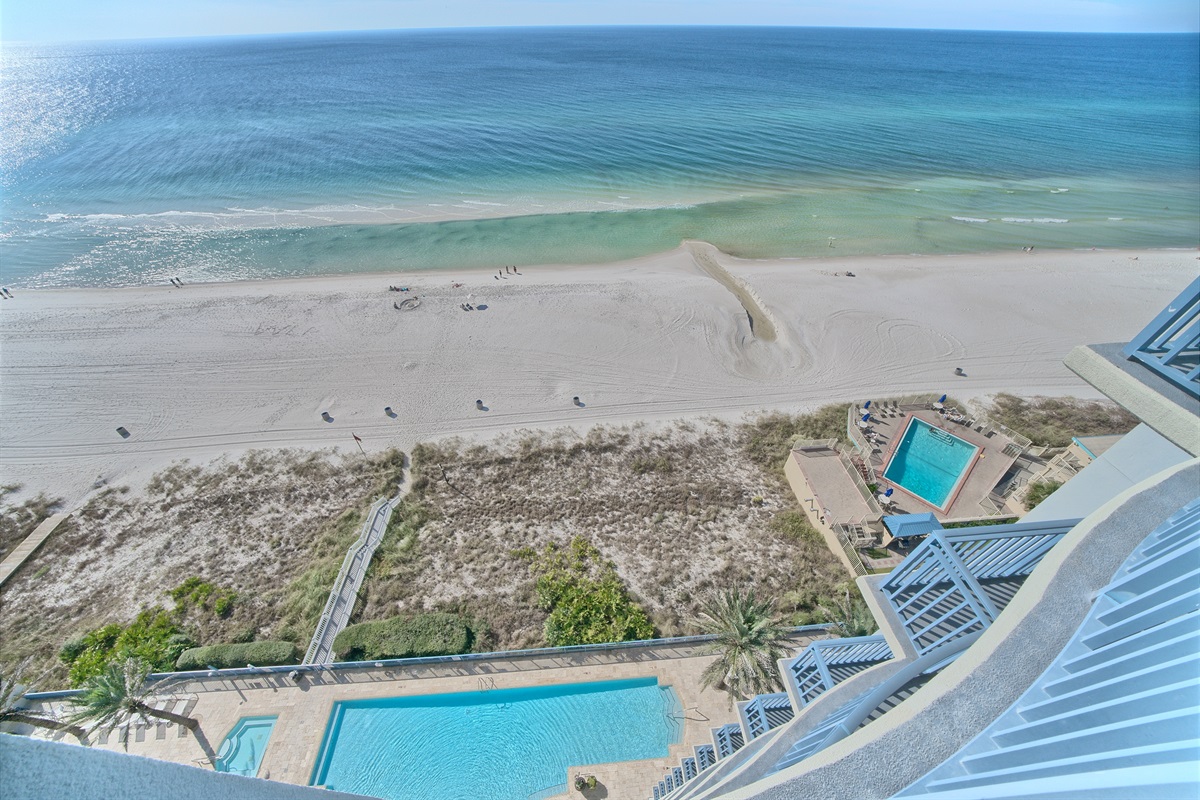 Watch Dolphins from the Balcony