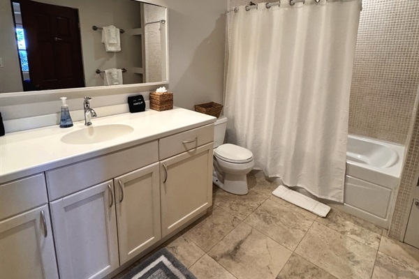 Suite Four Bath with tub and step in shower
