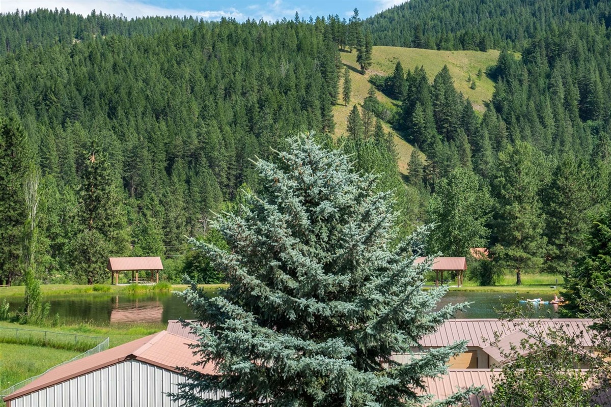 Peaceful community park and pond just steps from the cabin.