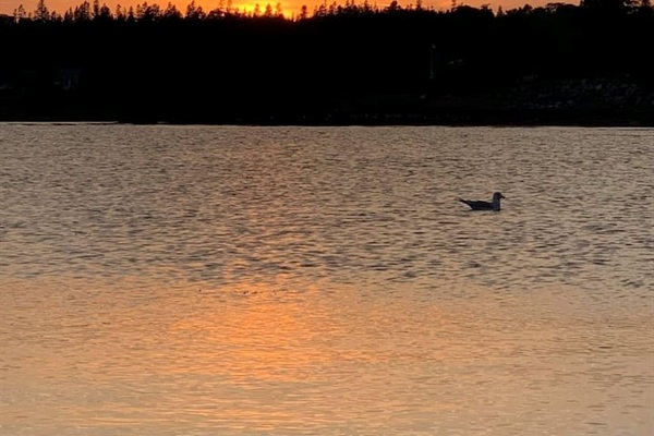 View of sunset