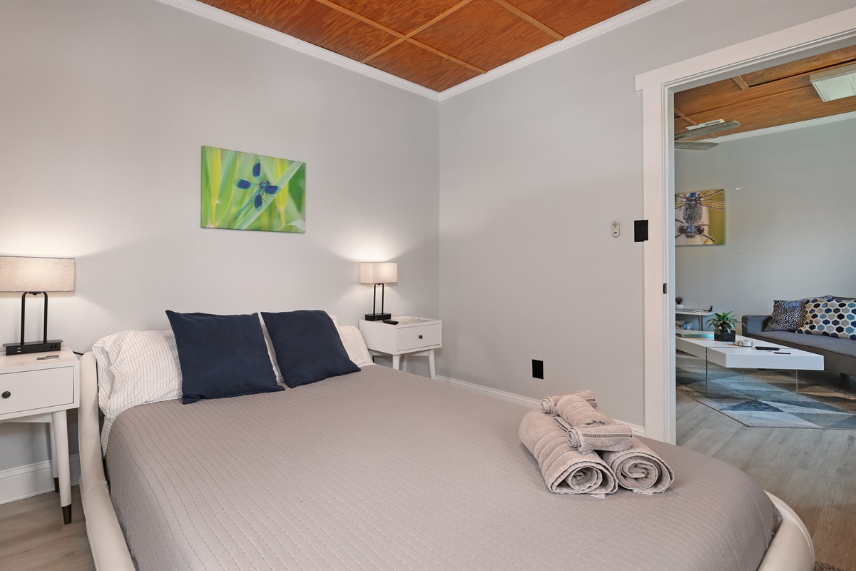 Bedroom with queen bed and Roku TV