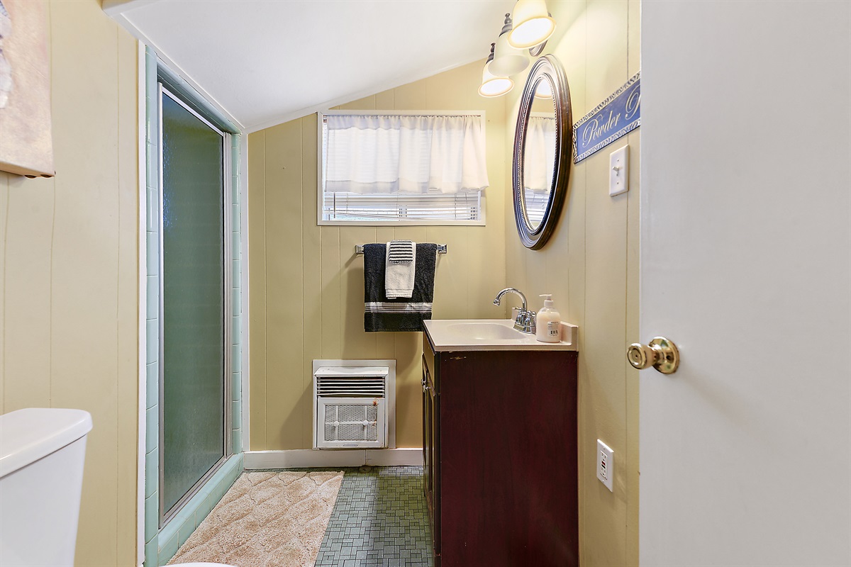 Downstairs bathroom 2. Note: SHORT shower ceiling not suitable to most adults