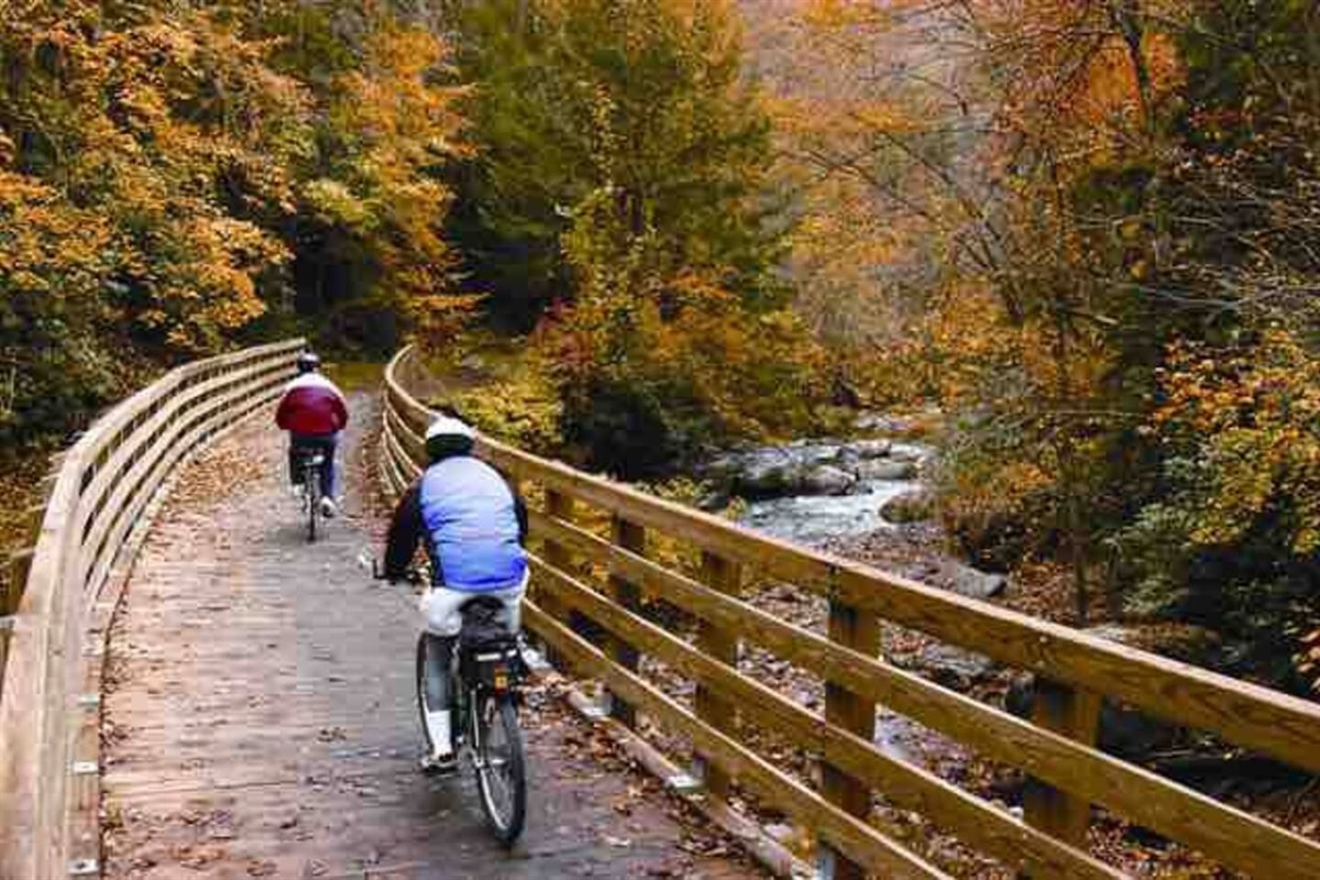 No doubt about it, you should go biking on the Creeper Trail. Many places throughout Damascus and Abingdon offer bike rentals, so head that way and try it! You won't regret it!