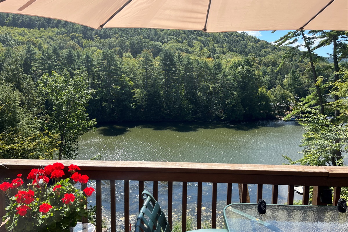 Views from the back deck overlooking the water