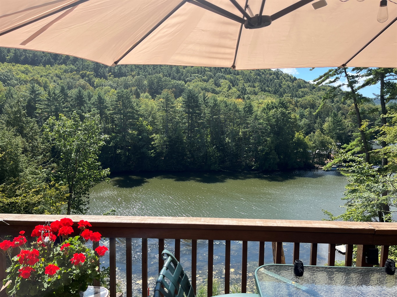 Views from the back deck overlooking the water