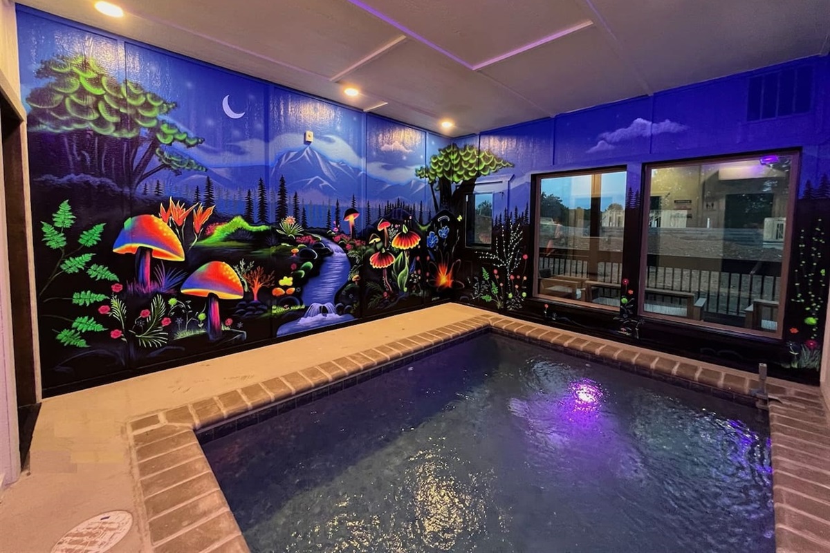 Welcome to this Smoky Cabin where style meets luxury, fun and relaxation making for a perfect mountain getaway! It includes several high end amenities including this never-seen-before GLOW-IN-THE-DARK indoor dipping pool area. 