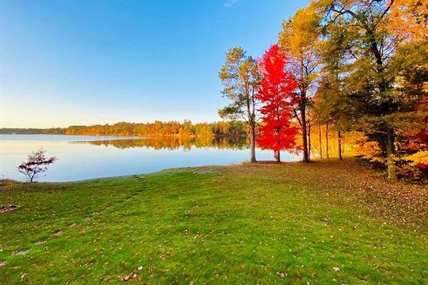Autumn Lakeview