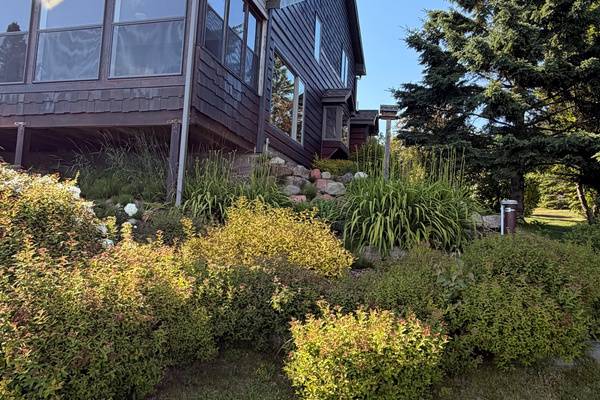 Porch and Garden