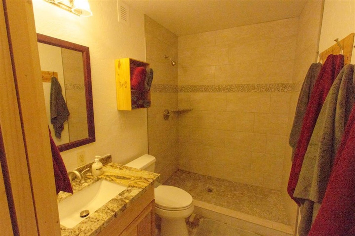 Lower level bath and shower