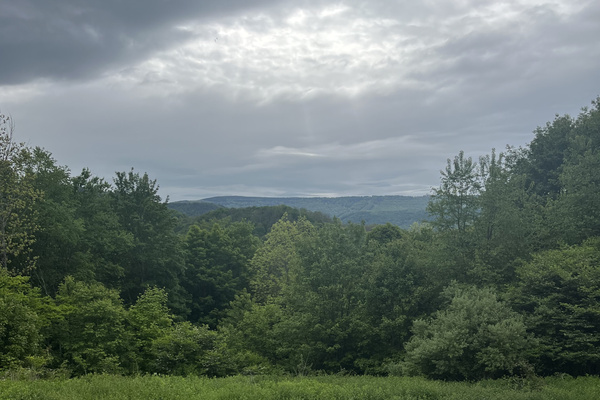 Cozy overcast evening view from the upstairs deck. 
