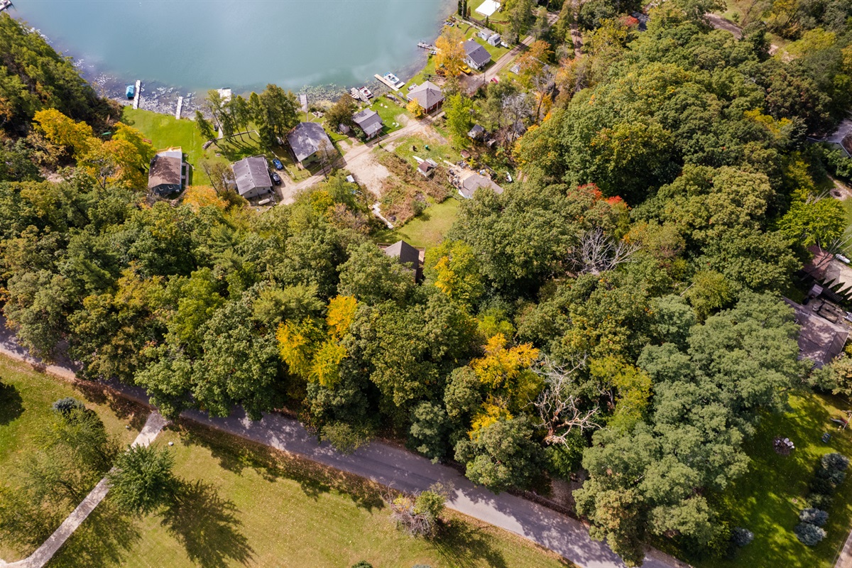 Drone View