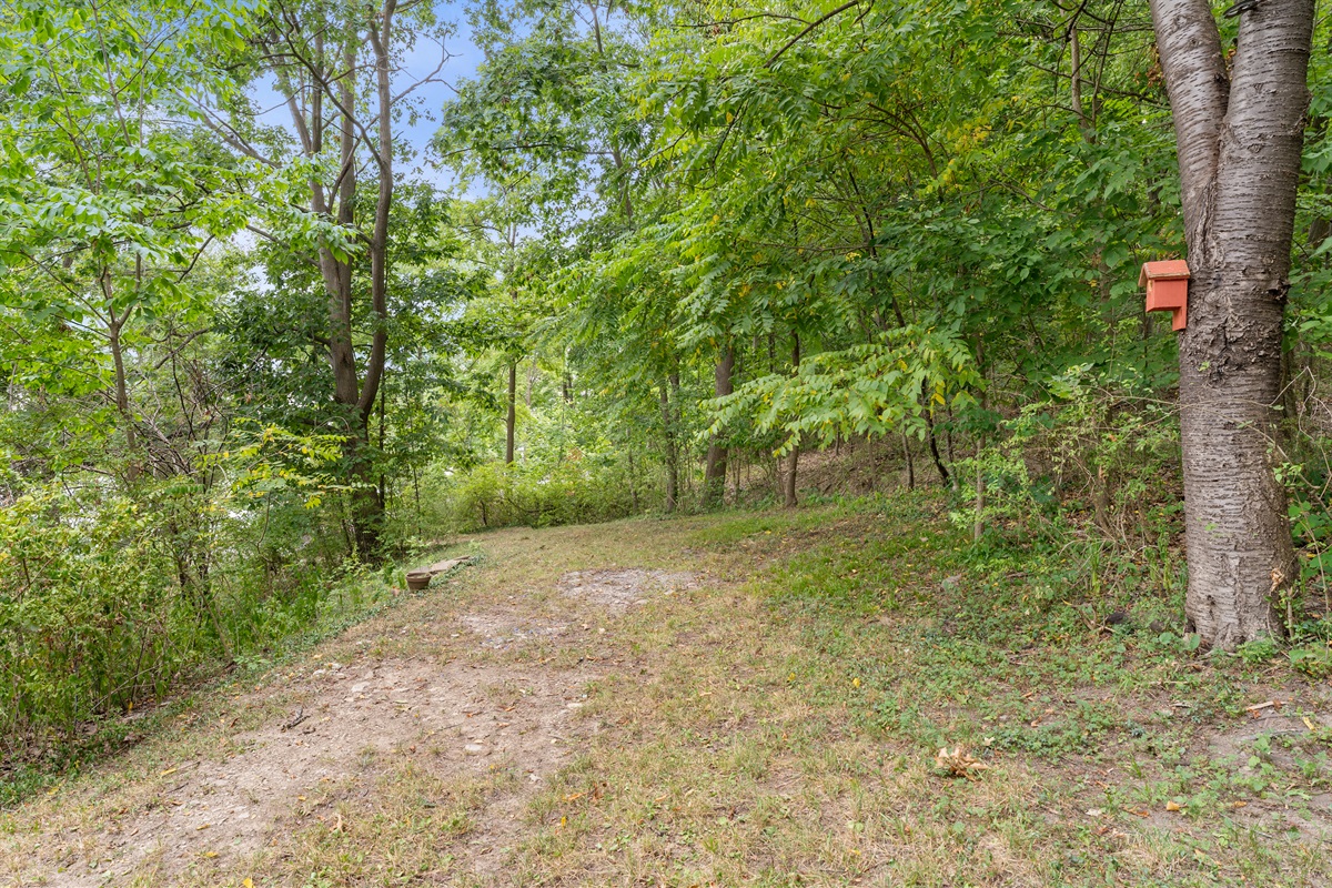 Tranquil wooded yard with open space to relax, play, or soak in nature.