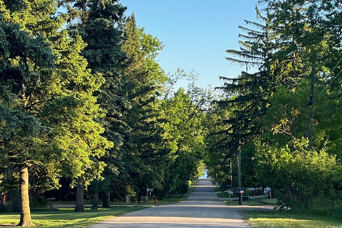 Lakeview from house