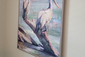 Welcome to Pelican Point!