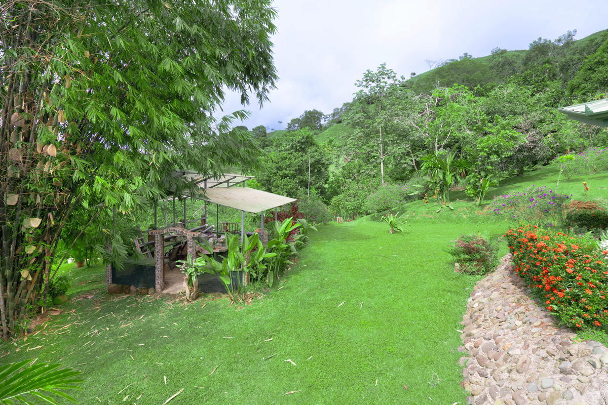 Tropical garden path through the grounds of Casa Infinity
