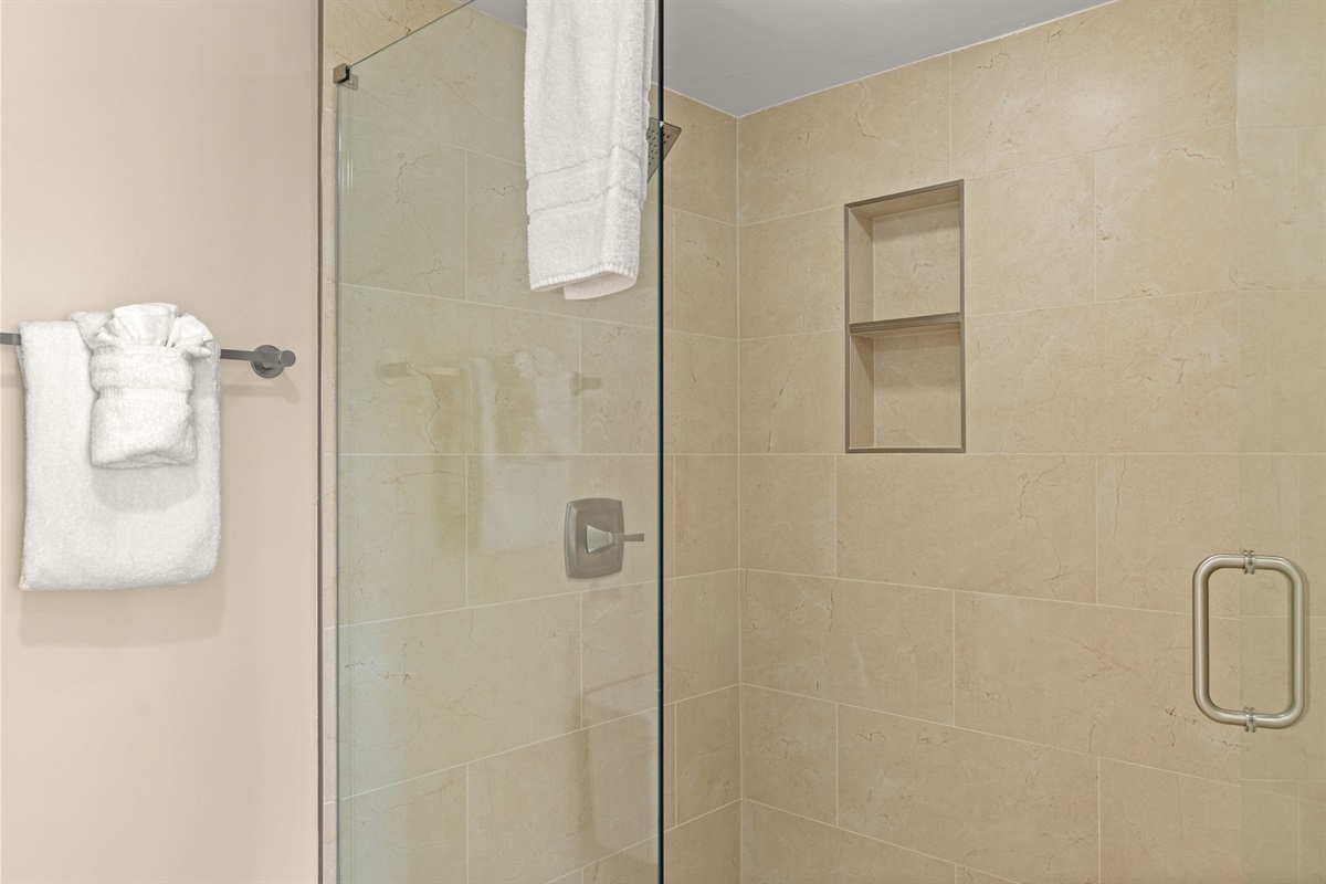 Walk In Master Shower