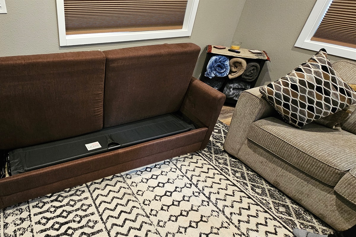 Living Room - Sofa Sleeper