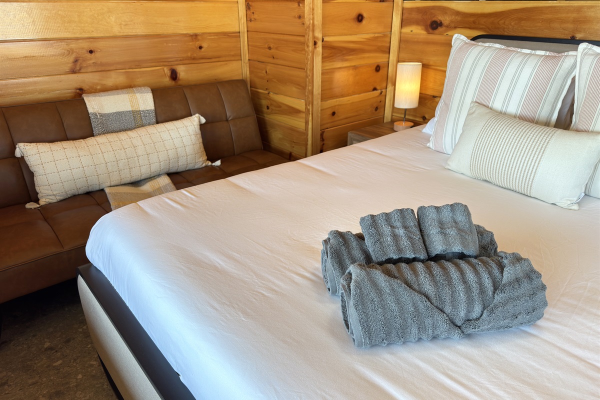 First floor Queen bedroom + futon