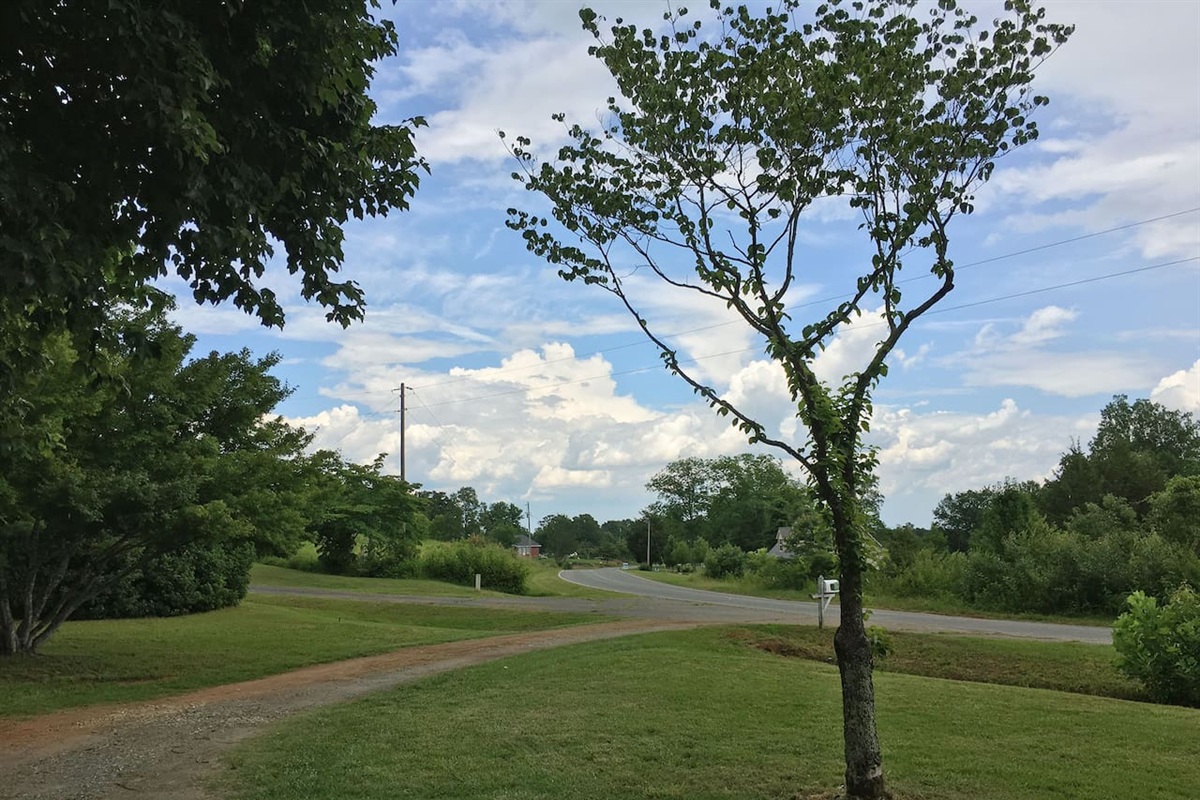 View from front door to the street
