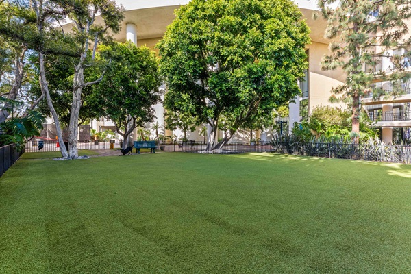 Dog park on premise