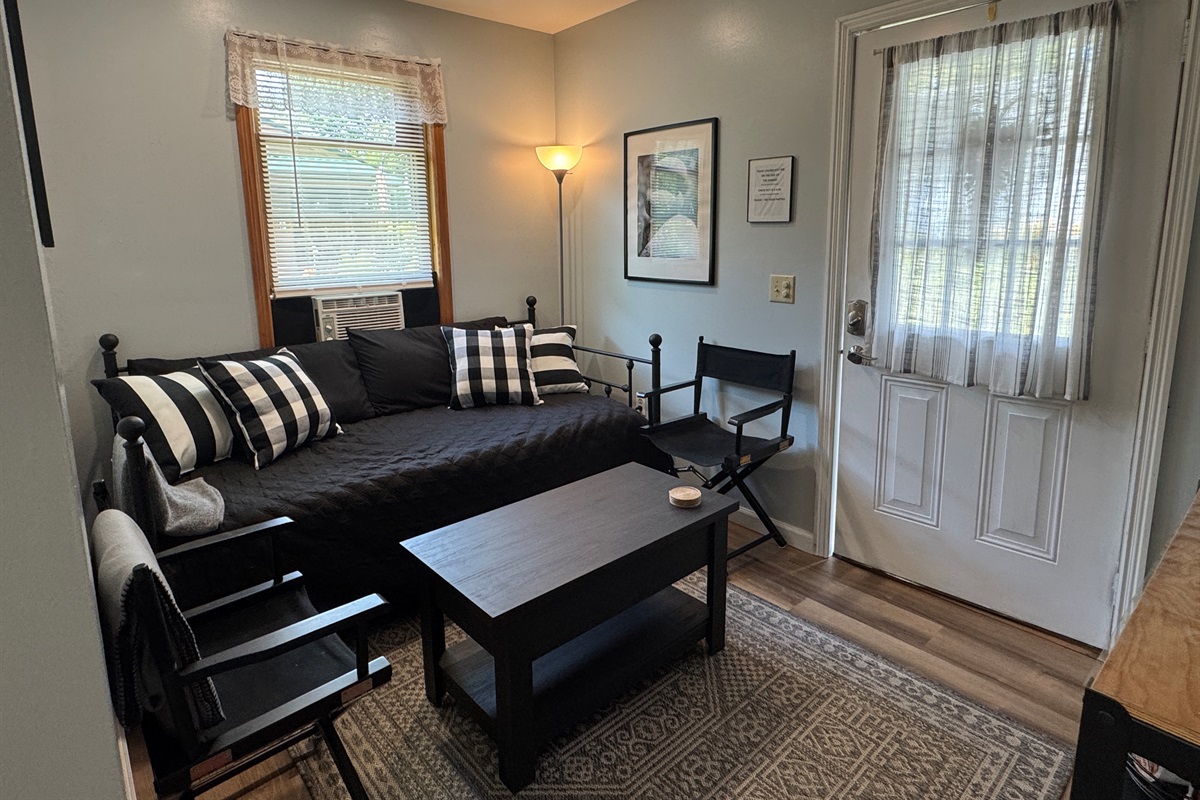 Comfy living room with additional sleeping
