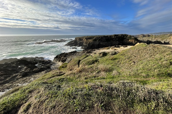 Point Mendocino Trail