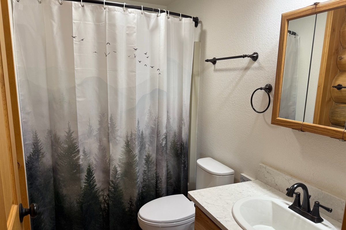 Upstairs guest bathroom