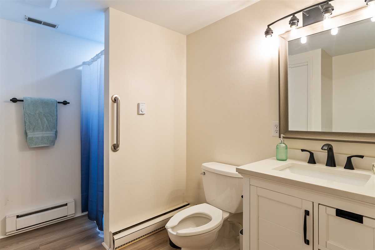 Freshly updated basement level bathroom bathroom featuring a modern vanity, sleek fixtures, and a walk-in shower with safety grab bar—perfect blend of comfort and style.