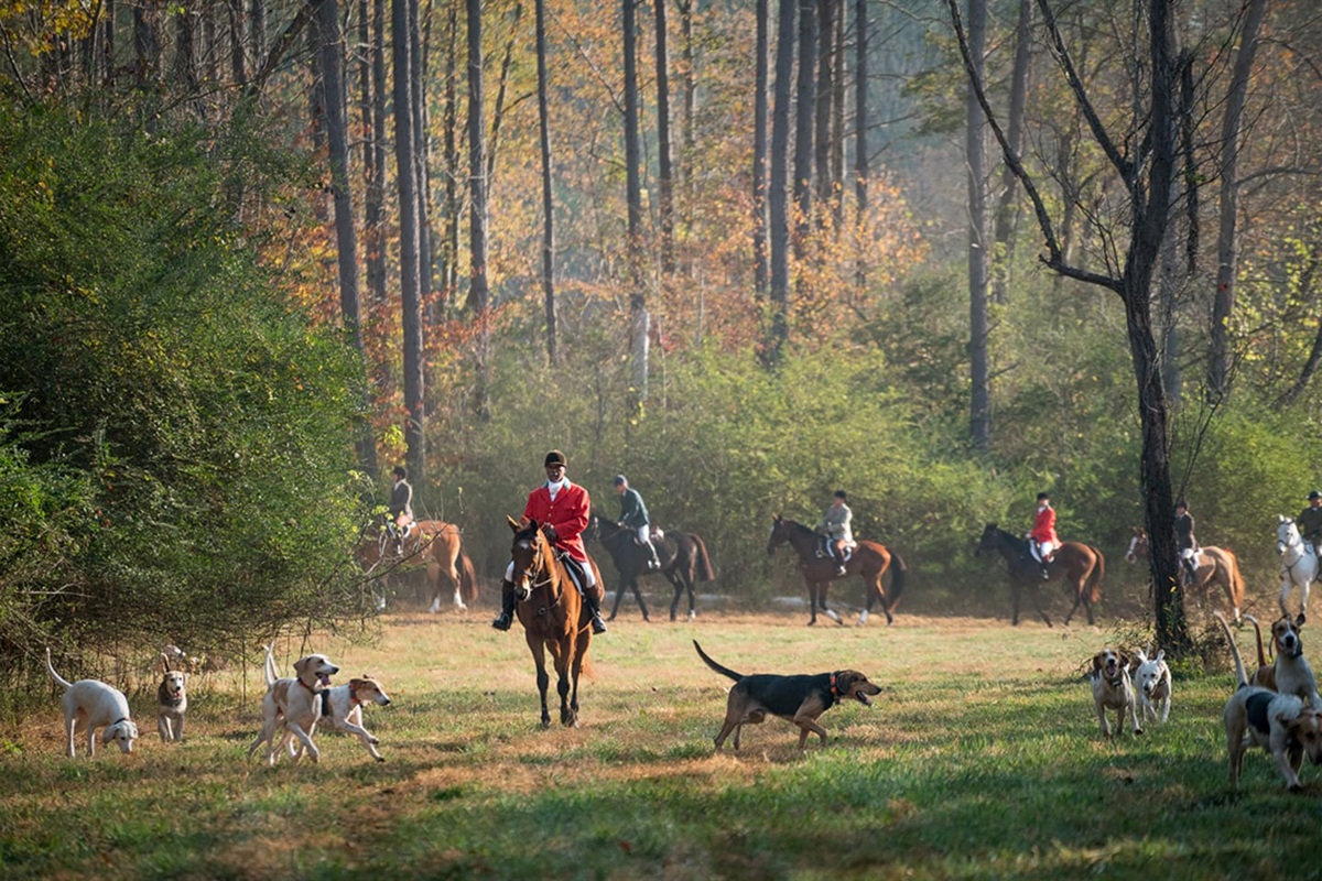 Green Creek Hounds hunting nearby.
