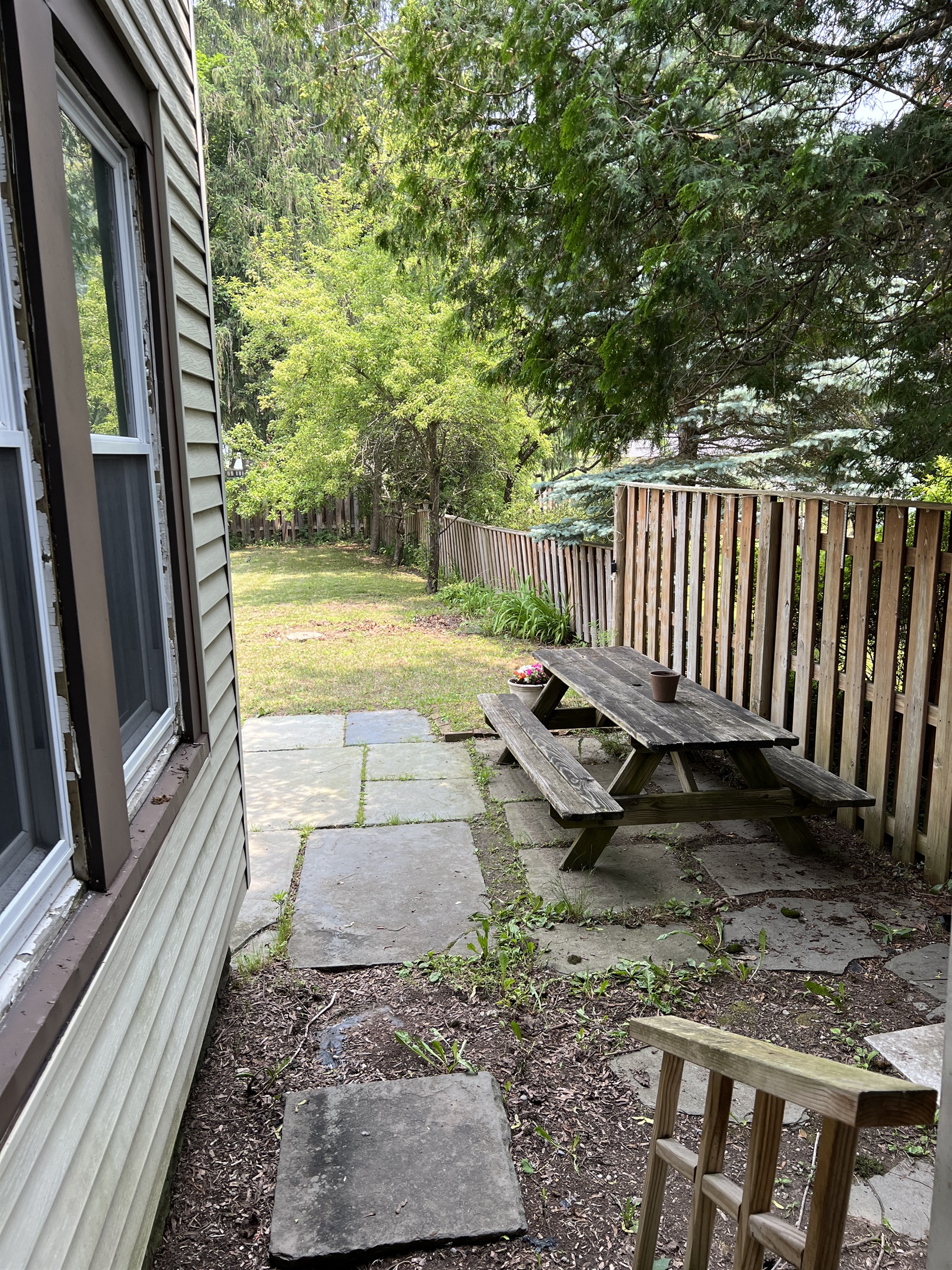 Rear patio and dining area