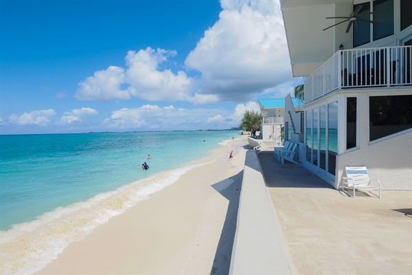 Cayman Reef 22