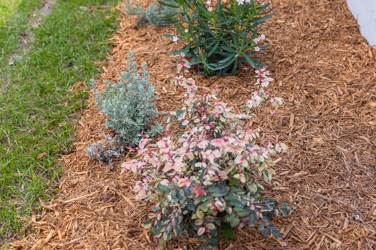 Front landscaping