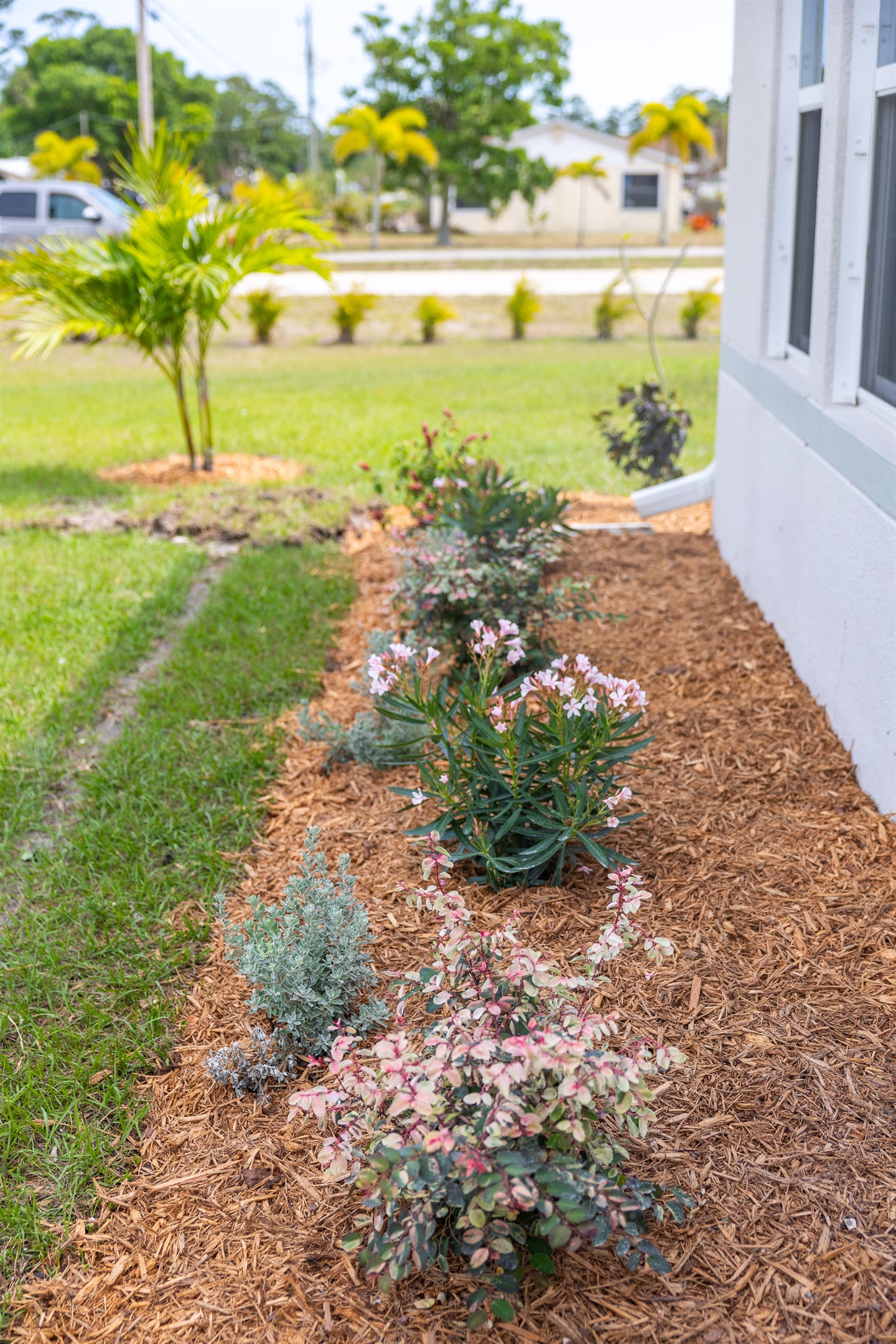 Front landscaping