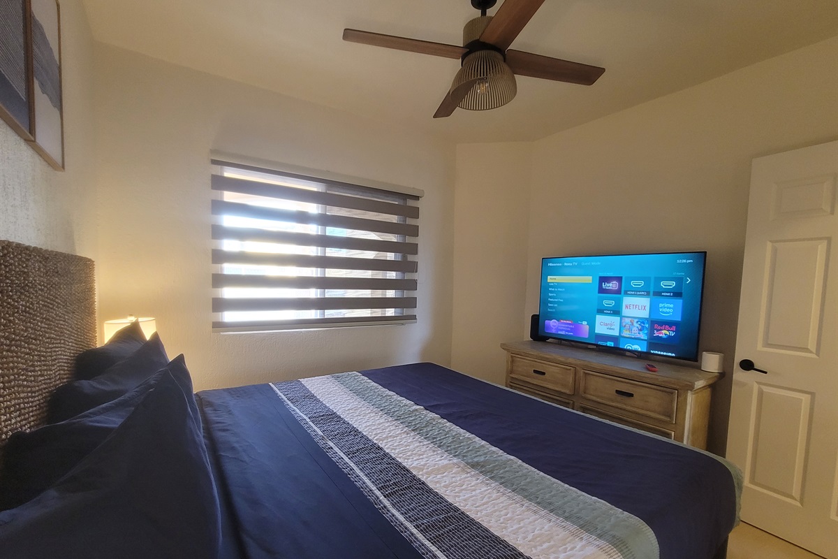 Guest bedroom featuring a king bed, two nightstands, lamps, dresser, closet and a Roku TV.