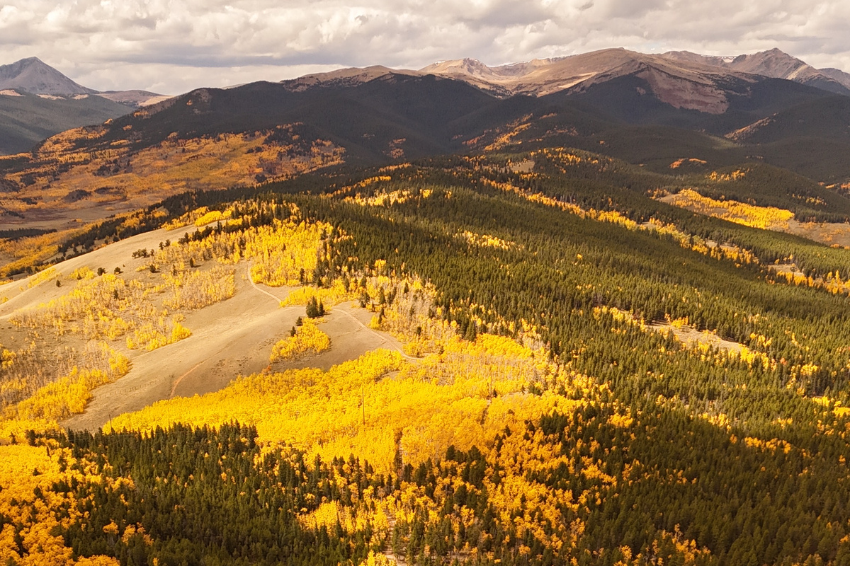 Breathtaking aerial shots of vibrant autumn aspen groves and changing mountain foliage in the local area.